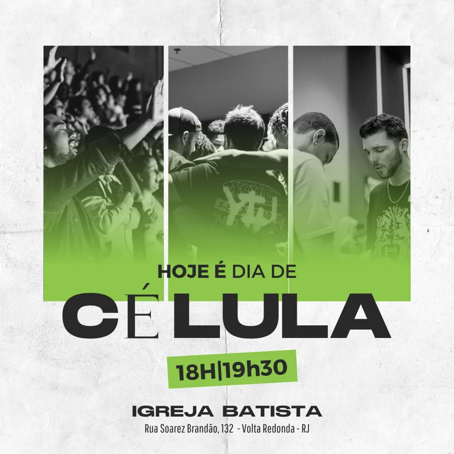 CELULA 09
